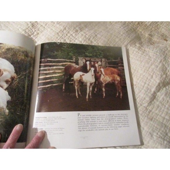 Kodak's Look At Life Award Winning Photography--Time Life Books - Picture 12 of 12